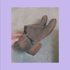Steve Madden suede booties